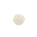 Bowl 14,5xH6,5cm reef Rocha
