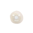 Bowl 18,5xH6,5cm reef Rocha